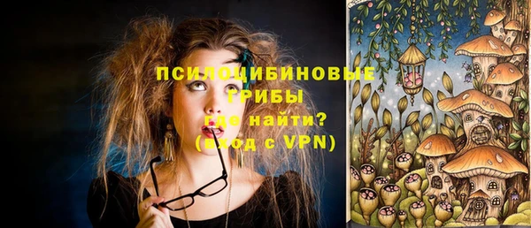 а пвп мука Белокуриха