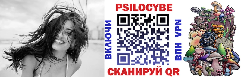 Галлюциногенные грибы Psilocybe  Высоцк 