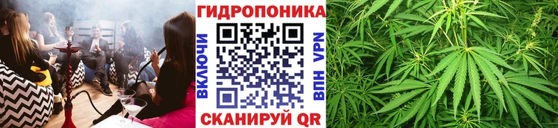 Бошки Шишки Amnesia Высоцк